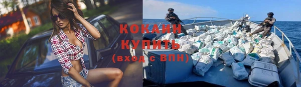 прущая мука Новодвинск