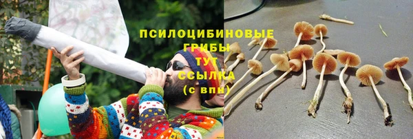 MESCALINE Гусиноозёрск