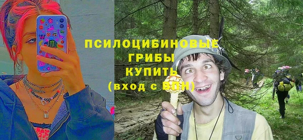 прущая мука Новодвинск