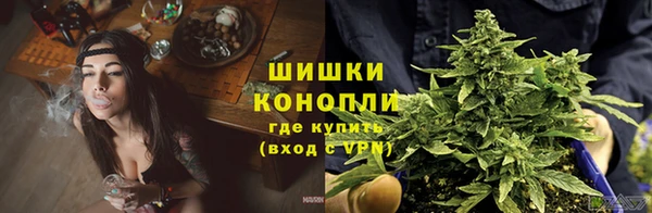 ECSTASY Новокубанск
