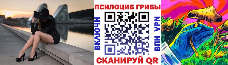 Галлюциногенные грибы Cubensis  где найти   Большой Камень 