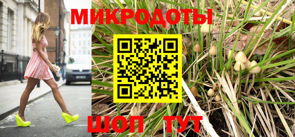 Псилоцибиновые грибы мухоморы Большой Камень