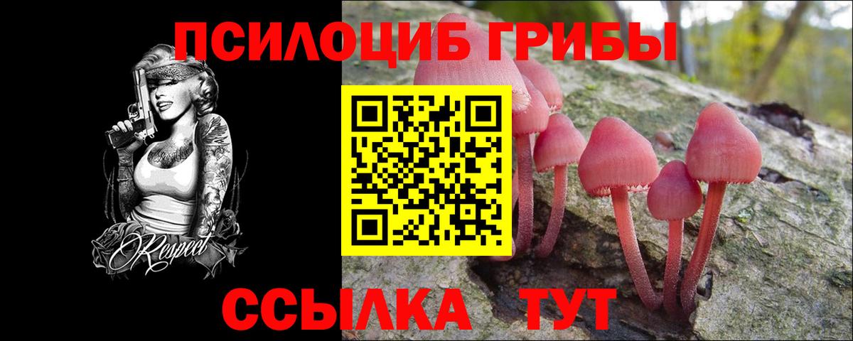 Большой Камень  Псилоцибиновые грибы GOLDEN TEACHER  Псилоцибиновые грибы прущие грибы  Вход с VPN 